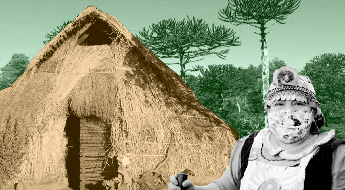 La crisis sanitaria ha tenido un impacto diferenciado en los pueblos originarios, cuyo reconocimiento no se expresa en la Constitución Chilena.