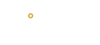 Programa Insitu