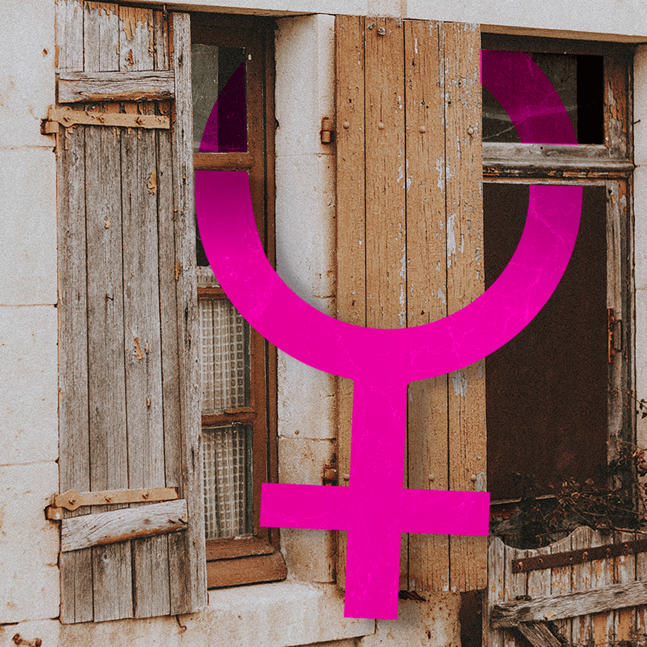 La feminización de la pobreza se ha agravado en los últimos meses debido al impacto asociado a la pérdida de empleos y al aumento de la desigualdad ¿Cómo le damos solución a esta problemática? La directora ejecutiva de Superación de la Pobreza - SERVICIO PAÍS, Catalina Littin, nos entrega su visión.