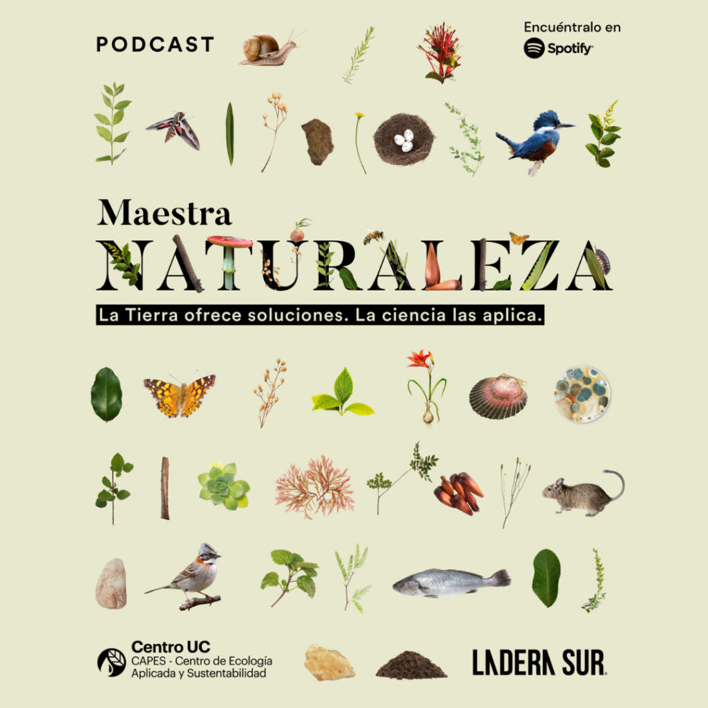 Podcast “Maestra Naturaleza”