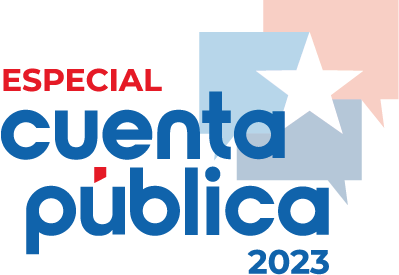 cuenta publica
