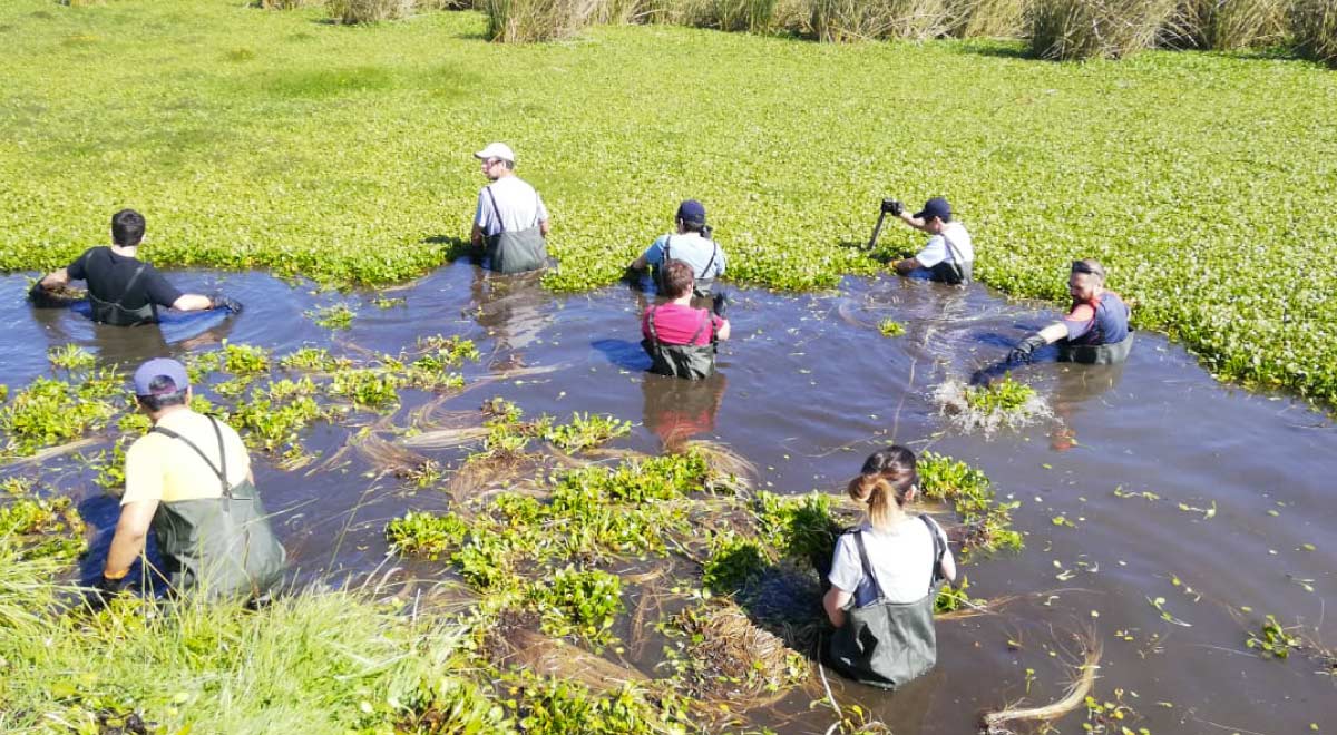  Festivales culturales y de lectura para toda la familia y una convocatoria abierta para una jornada de limpieza ambiental en el estero de Chimbarongo. Son parte de las actividades que están cambiando el mundo en nuestra Agenda Pública de esta semana. 