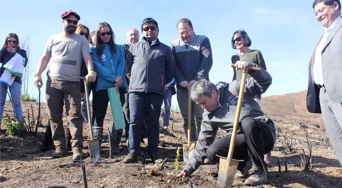   En el Día Internacional de La Tierra, recordamos a algunas de las instituciones que todos los días trabajan con propósito de resguardar el medio ambiente. Así como estas iniciativas, muchas más aportan en esta ardua labor.