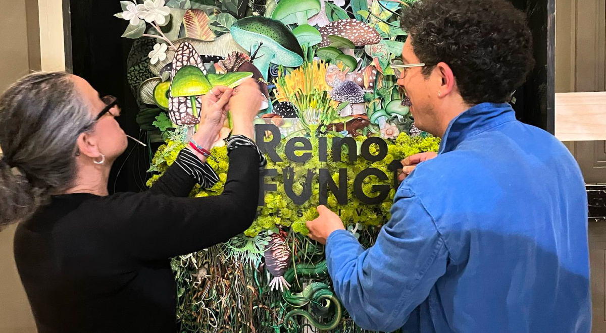  La innovación y las economías creativas se posicionan como motores clave para el desarrollo territorial, articulando ciencia, arte y comunidad en torno a nuevas formas de conocimiento y colaboración. En ese contexto, el Festival Reino Fungi 2026 celebrará su quinta versión en Pucón entre el 30 de abril y el 3 de mayo, con una programación abierta a todo público.